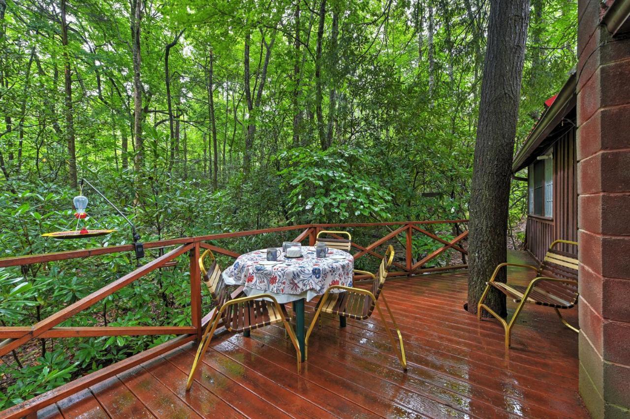 Serene Creekside Cottage Near Asheville Fire Pit Candler Екстер'єр фото