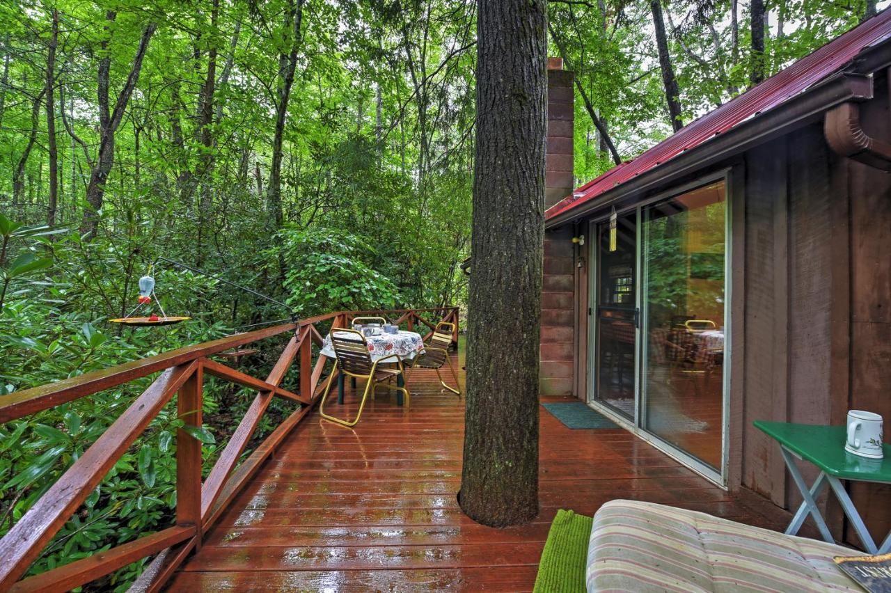 Serene Creekside Cottage Near Asheville Fire Pit Candler Екстер'єр фото